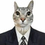 Mr cat