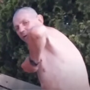 jądrawielbłąda622