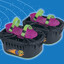 Moon Shoes