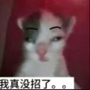 唔系猪字奇
