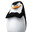 Skipper