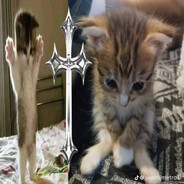 пиво_по_вене