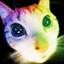 dj kitten