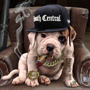 улитка турба