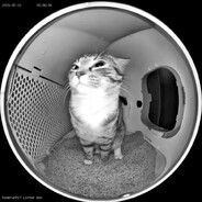Котокбас