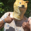 Little Doge