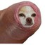 VERY GOOD