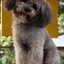 ★Jacky★Mon★