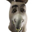 donkeyporn ®