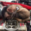 DevilsMonkey7