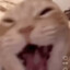 Shad0w