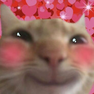 Kitty Kitty Meowzalot :3