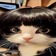 hi