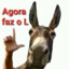 FAZ O L