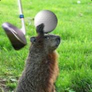 [Basement5] Reinheart - steam id 76561197961176151