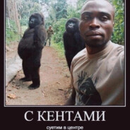 ШОУХАЛ БРАТ