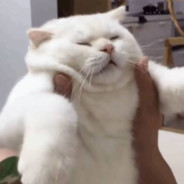 阿关