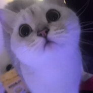 LuLu - steam id 76561198931794680
