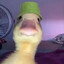Gyat