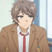 青春猪头少年梓川咲太