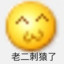 沈辰.