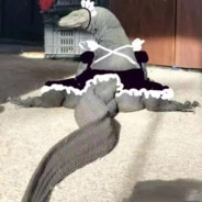 她求我别塞冰块