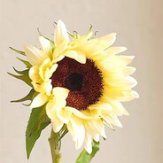 华尔街之羊（咩咩咩）