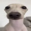 krosh