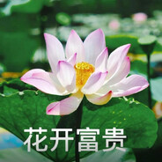 花开富贵