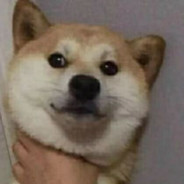 风吹菊花香满堂