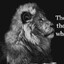 the lion