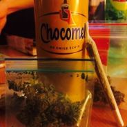 Haze und Chocomel