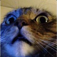 - ZellR | csgojackpot.com