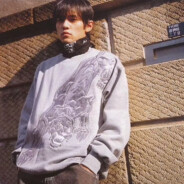 皖系东部战区司令员