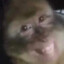 Elboludo