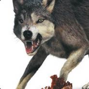Wolf - steam id 76561197960281334