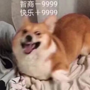 青春滋崩少年不会梦见克雷贝尔学姐