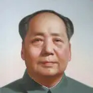 东泽毛