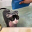 Gato Bañera