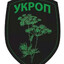 Легендарнiй укроп