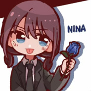 nina会飞