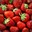 Why_Are_Strawberrys_Red?