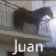 Juan