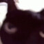 Shramp507