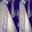 FAZEXT1R