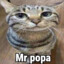 Mr.popa