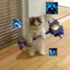 ミ★JIeJIuK★ミ