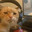 OsamaBinKitty