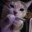 Puz0nn