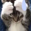 Pokiie